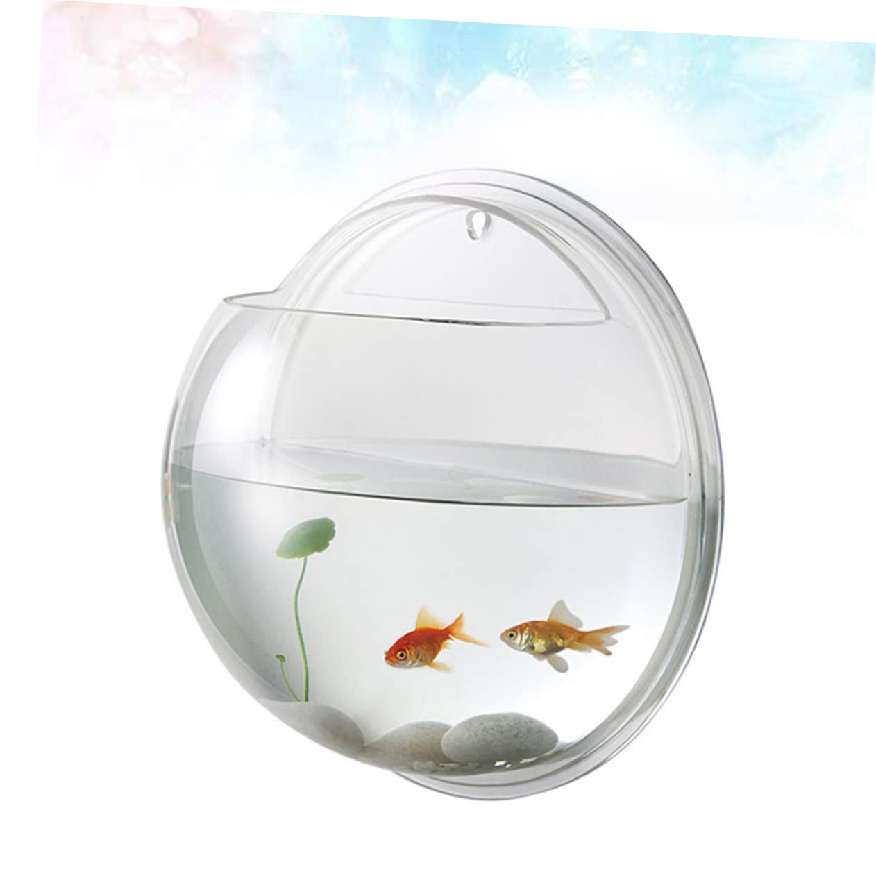 Toddmomy 3 Pièces Aquarium De Poissons Bols À Poissons pour Betta Cylindre De Poisson Aquarium Réservoirs D'Aquarium Suspendus en Acrylique Transparent Bol À Poisson Mural Bol D'Aquarium