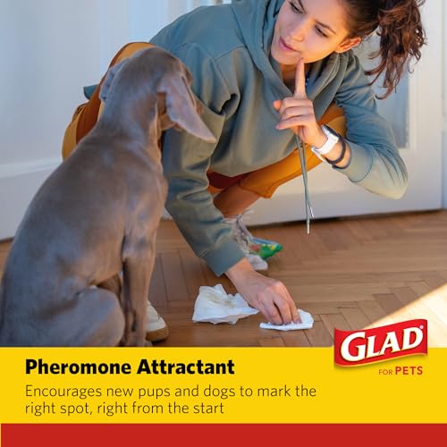Image of Glad for Pets Activated Carbon Training Pads, Anti-Microbial, 100 Count (Pack of 2)
