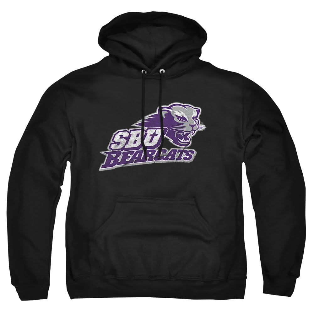 LOGOVISION Official Collegiate Distressed Primary Logo Adult Pullover Hoodie Collection — view 276