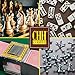 CHH 2 Deck Card Shuffler