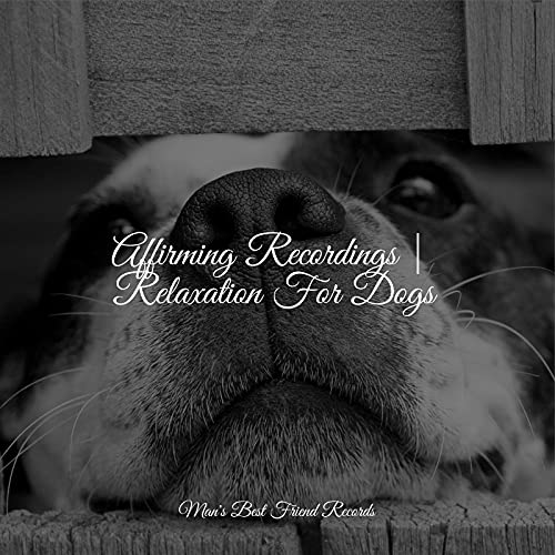 Amazon Music Unlimited Pet Care Club, Music for Leaving Dogs Home
