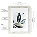 Scholartree Rustic White Wooden 11x14 Picture Frame set of 2,Display 11x14 without Mat or 8x10 with Mat，Wall Gallery Photo Frames