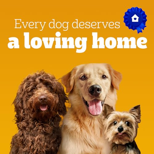 PEDIGREE CHOPPED Ground Adult Soft Wet Dog Food – Real Chicken – Filet Mignon Beef Flavour Variety Pack - 24x 375g (13 oz) Cans (12 Chicken, 12 Beef) - Image 6