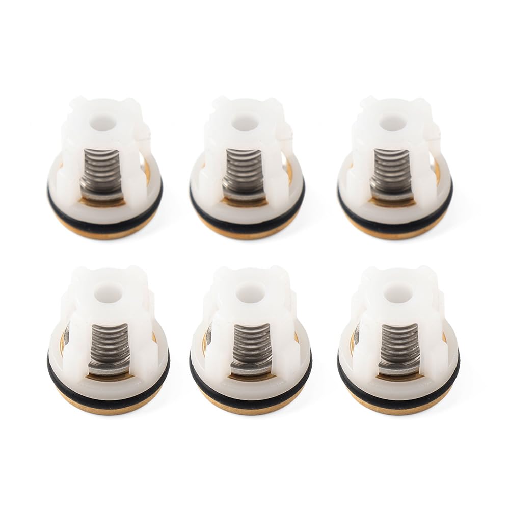 Kit de válvulas Check 42123 para bomba de hidrolavadora Annovi Reverberi RMW SRMV RMV de metal plateado