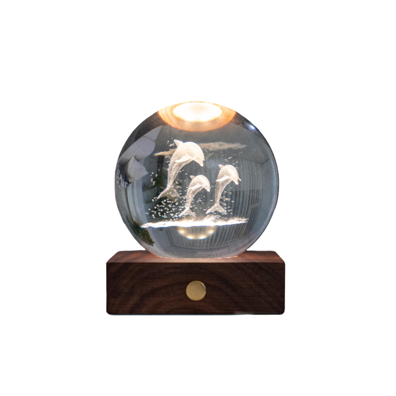 The Gift Experience Amber Crystal Lights - Nature Collection Jumping Dolphins