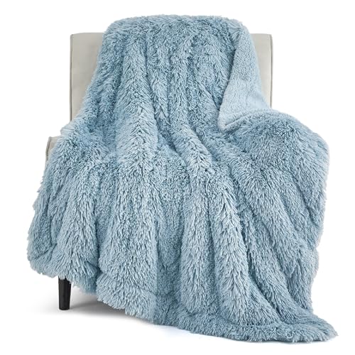 Bedsure GentleSoft Fluffy Light Sky Blue Throw Blanket, Dusty Baby