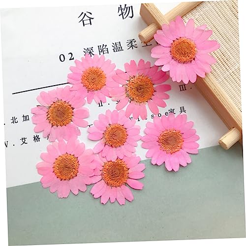 30 flores secas prensadas mixtas para manualidades miniatura 5