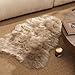 Ashler Soft Faux Sheepskin Fur Chair Couch Cover Beige Area Rug Bedroom Floor Sofa Living Room 2 x 3 Feet