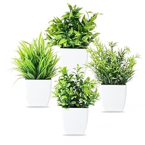 4 Stück Kunstpflanze mit Topf, Klein Künstlich Plastik Pflanze Deko, Deko Pflanzen Kunststoff Gefälschte Pflanzen, kunstpflanze für Schreibtisch, Wohnzimmer, Büro und Badezimmer Deko