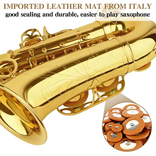 slade saxophone eb alto saxophone for beginner students saxaphone adult saxophone alto beginner saxophone alto saxaphone saxofon alto saxophone gold