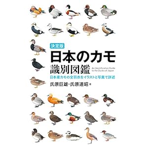 決定版 日本のカモ識別図鑑: 日本産カモの全羽衣をイラストと写真で詳述
