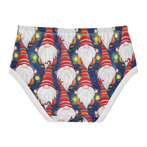 Joisal Girls Underwear Toddlers 2t Cotton Little Girl Panties Animals Briefs Underpants Christmas Gnomes Starry Blue2