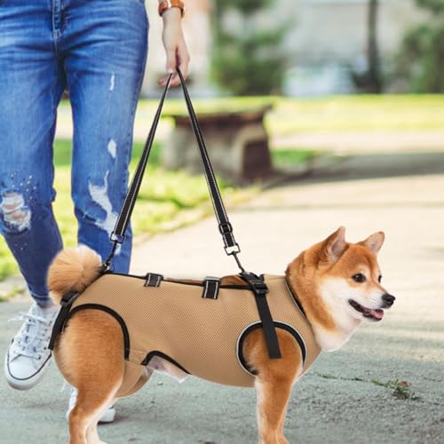 pn[lX  s⏕n[lX ʋC TCY\ ^ ^ U  O 㑫T|[g ȒPE V  p nr KtBbg o֗ pi (XL:(20.5-30kgj)