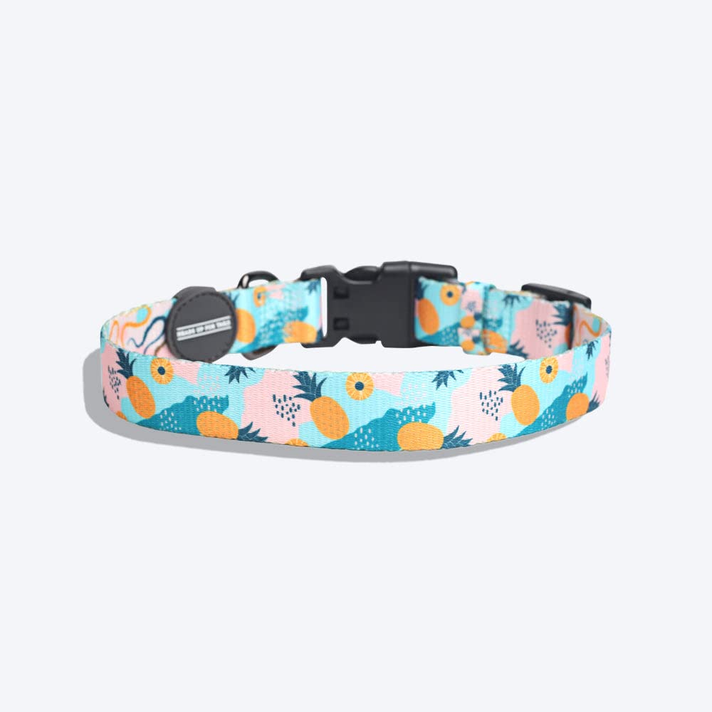 HUFT Modern Art Printed Dog Collar - L
