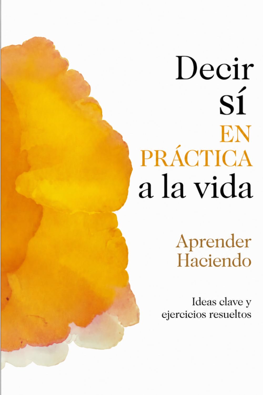 Decir sí EN PRÁCTICA a la vida: Ideas clave y ejercicios resueltos (Aprender Haciendo)