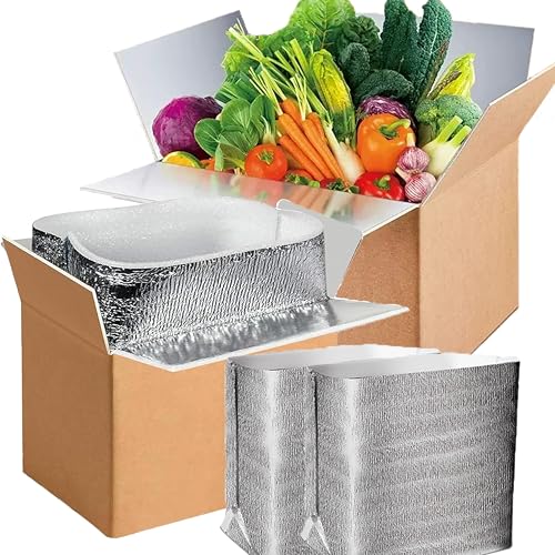 2 Pack Large Thermo Chill Double Insulated Shipping Box, with Aluminum Foil Liner - Keep Fresh-Cold Shipping Box for Frozen Food - Insulated Cooler Box for Packing, Moving, Mailing (9.5