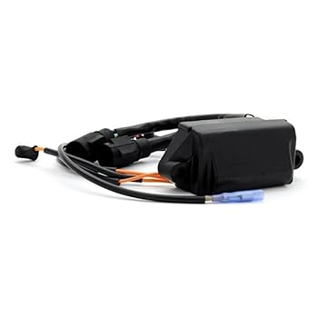 バッグ KJ Amazon.com : OEM Evinrude Johnson BRP Power Pack Outboard