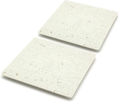 TIKUSAN Platos para servir, juego de 2 platos cuadrados hechos en Japón, platos de cerámica para cenas, fiestas, restaurantes para aperitivos,