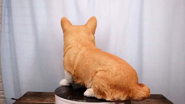 Amazon.com: Ebros Gift Large Lifelike Realistic Sitting Pembroke