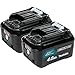 Makita BL1041B-2 12V max CXT Lithium-Ion 4.0 Amp Battery (2 Pack)