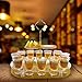 Daily Treasures 12 Shot Glass Tray,Acrylic Shot Glasses Holder with Salt Rim,Wine Glass Cup Serving Tray,Double Glasses Bulk Serving Tray Compatible with Bar Whisky, Tequila, Vodka, Cocktail