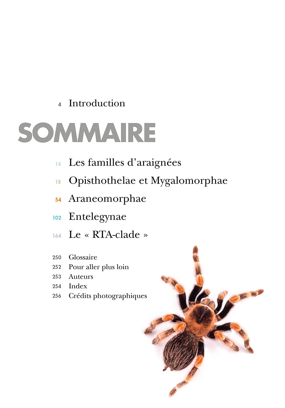 Les Araignées du monde