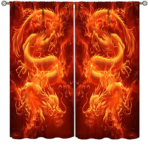 Dragon Curtain for Boys