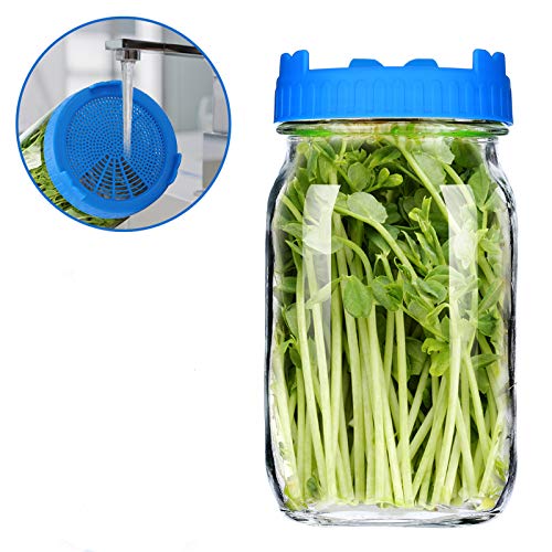 Seed Sprouting Jar Kit, 2 Wide Mouth Mason Sprouting Jar & 2 Easy Rinse & Drain Lids, Use for Growing Organic Healthy Fresh Broccoli, Alfalfa, Mung Bean Sprouts and Salad