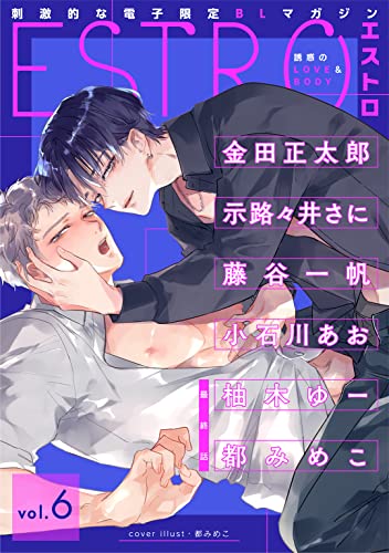 エストロ vol.6 (バーズコミックス エストロコレクション)