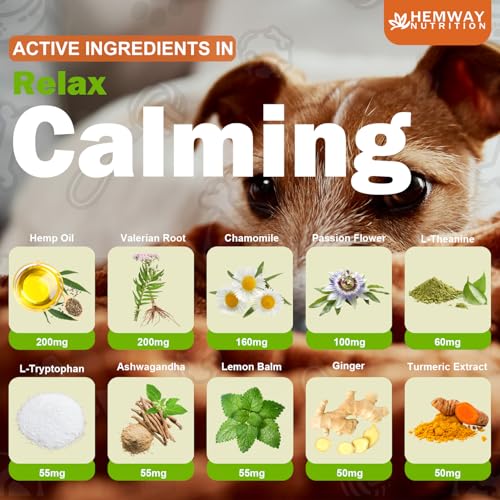 Image of Hеmp Calming Chews for Dogs - Duck Flavor Soft Chews - Dog Calming Treats Supplement for Storm Anxiety, Sleep, Relaxing, Separation Aid, Stress, Hyperactivity Relief - All Ages & Sizes - 240 Count