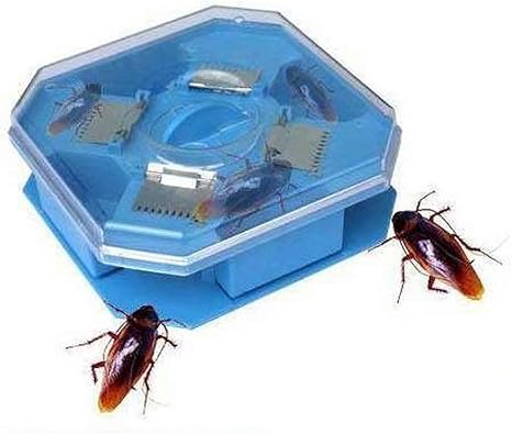 Amazon Co Jp ホームゴキブリトラップゴキブリトラップゴキブリ殺しツールゴキブリの家ゴキブリ殺し ドラッグストア Amazon Co Jp ホームゴキブリトラップゴキブリトラップゴキブリ殺しツールゴキブリの家ゴキブリ殺し ドラッグストア