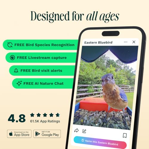 Birdbuddy PRO Solar Smart Bird Feeder with Camera - AI Bird Species Identification, 5MP Photos, 2K HD Video Live Stream Camera, Slow-Motion Video, 2.6in Focus - Blue Solar