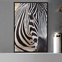 Framed Canvas Wall Art Zebra Animals Dramatic Farmhouse/Country Living Room Multicolor Photography Zebra - 16x24 inches