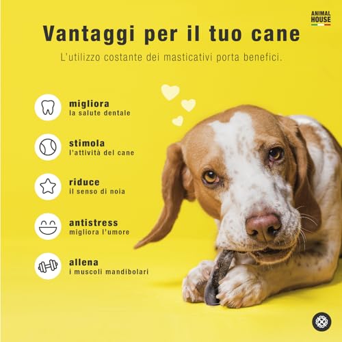 Animal House - Büffelgeweih für Hunde - 100% natürliches Kauen - Stärkt die Mundhygiene - Robust und Langlebig - Erhältlich in Allen Größen - Tierversuchsfrei (1, M)