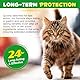 Antibiotics for Cats - Pet Supplements Supports Immune, Allergy Relief, Multivitamin, Health Supplies Cats UTI Antibiotics, Chicken Flavour - 2 FL Oz / 60ml