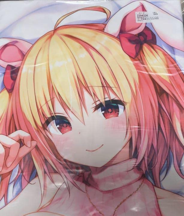 Amazon.co.jp: きのこのみ konomi 宇佐美みいな 抱き枕カバー : DIY 