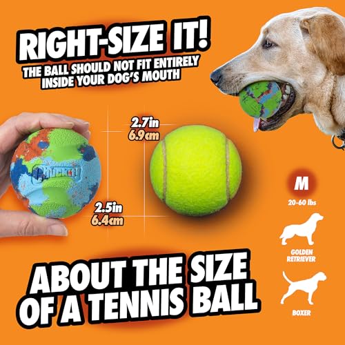 Chuckit! Limited Edition Hundeball Eco Fetch Day Ball Ultra Ball Umweltfreundliches Spielzeug für Hunde – Medium, 1 Packung