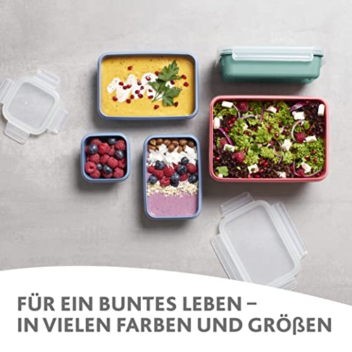 Emsa Frischhaltedose mit Deckel 2,2l Clip & Close Color Edition, 100% auslaufsicher, hygienisch, spülmaschinenfest, mikrowellengeeignet, gefriergeeignet, blau, N10128 2
