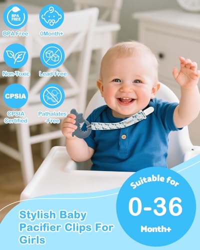 Image of ALVABABY Pacifier Clips 10 Pack Pacifier Binky Paci Holder Leashes for Teethers 10DP01A