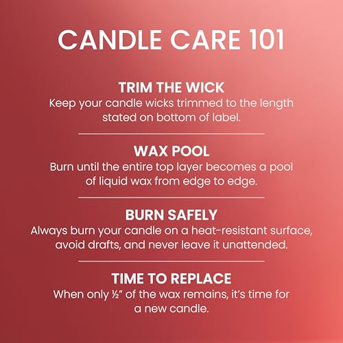 Yankee Candle Large Jar Scented Candle with up to 150 Hour Burn Time, Premium Plant Wax Blend for Consistent Burn, 22 oz Jar Candle with Room Filling Fragrance, Cliffside Sunrise
