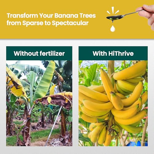 Alimento líquido para plantas de banana 16oz miniatura 3