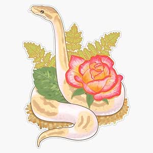 Amazon.com: Pilot The Ball Python Bumper Sticker Vinyl Decal 5 ...