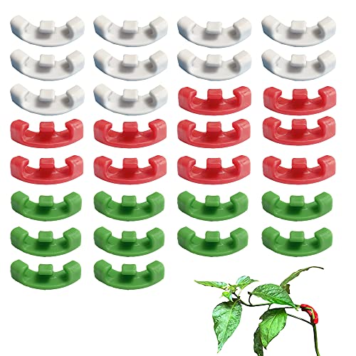 Paidaxin 30 Stück Plant Bender Kits Wachstum Bieger Clips Kletterpflanzen Befestigung Clip Wiederverwendbarer Kunststoff-Pflanzenclip 90-Grad-Wachstumsbiegewerkzeug geeignet für Blumen Gemüse