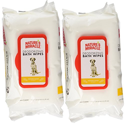 10 Best Dog Wipes for Grooming (2022 Reviews)