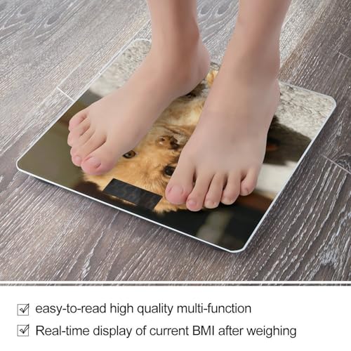 Báscula Digital de Baño Caramel Mini Pudding Precisa miniatura 5