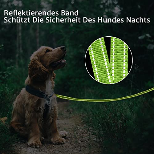 Demigreat Schleppleine , 3m / 5m / 10m / 15m / 20m Robuste Lange Hundeleine Reflektierend Trainingsleine mit Gepolsterter Griff und handschlaufe, Ausbildungsleine für Kleine bis Große Hunde