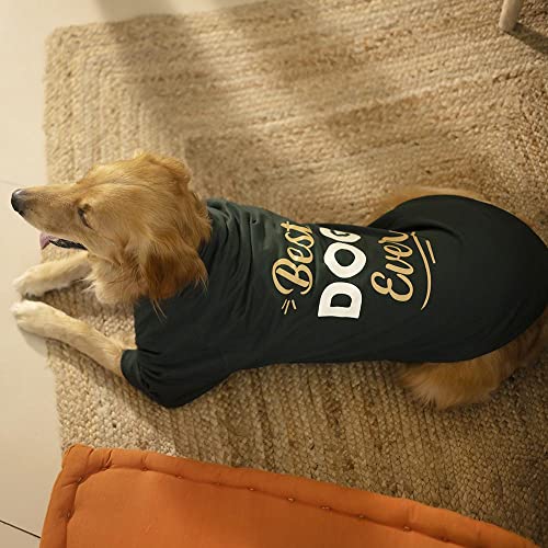 Image of Heads Up For Tails Sweatshirt for Dogs (S, Dark Green)