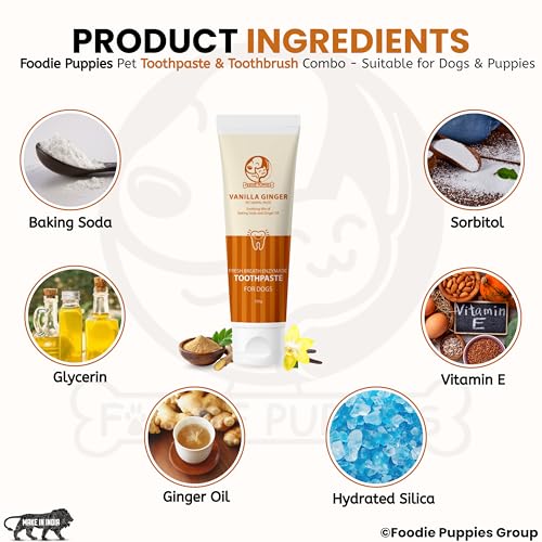 Image of Foodie Puppies Dental Care Combo for Dogs and Cats - (Couple Toothbrush and Vanilla Ginger Toothpaste, 100gm) Fresh Breath Formula I Soft Bristles for Easy Dental Care Toothbrush for Small Pets