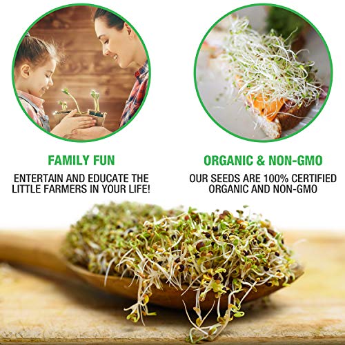 Mumm's Sprouting Seeds - Boosted Sample Pack - 1,325 GR - Organic Sprout Seed Kit - Broccoli, Radish, Alfalfa, Mung Bean