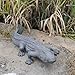DiliComing Swamp Alligator Garden Statue - 28 Inch Realistic Crocodile Sculpture for Lawn Ornament Stalking Alligator Decor for Yard Gifts for Father 28 x 12 x 6 Inch
